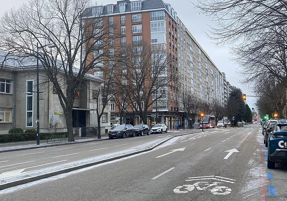 Avenida Cid Campeador (toro)